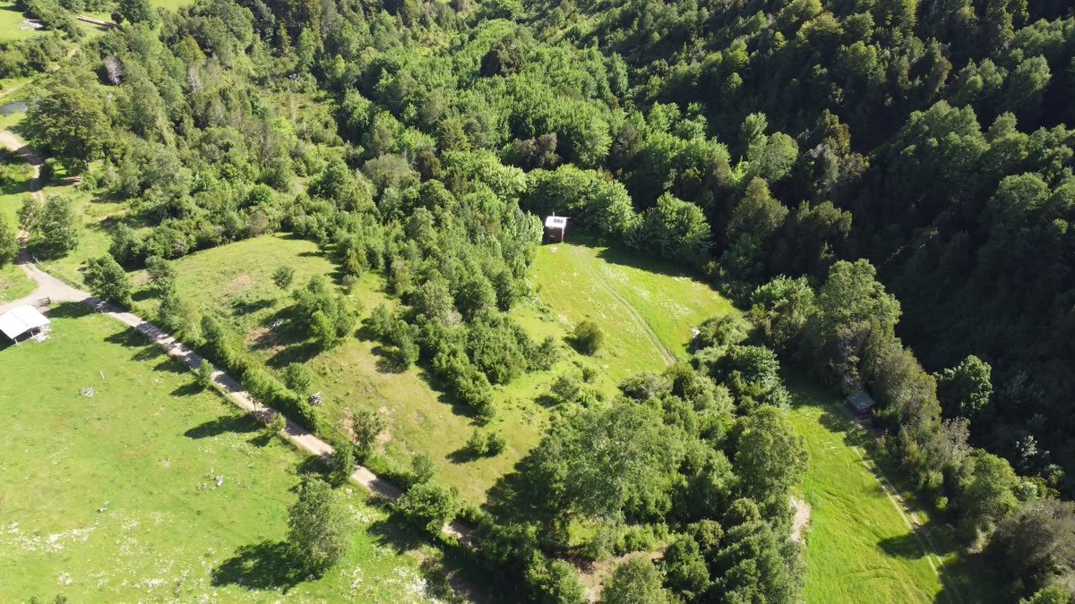 Vista aérea de las praderas y el bosque de Entre Pampa y Bosque